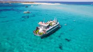 Formentera Wonder