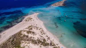 Formentera Wonder