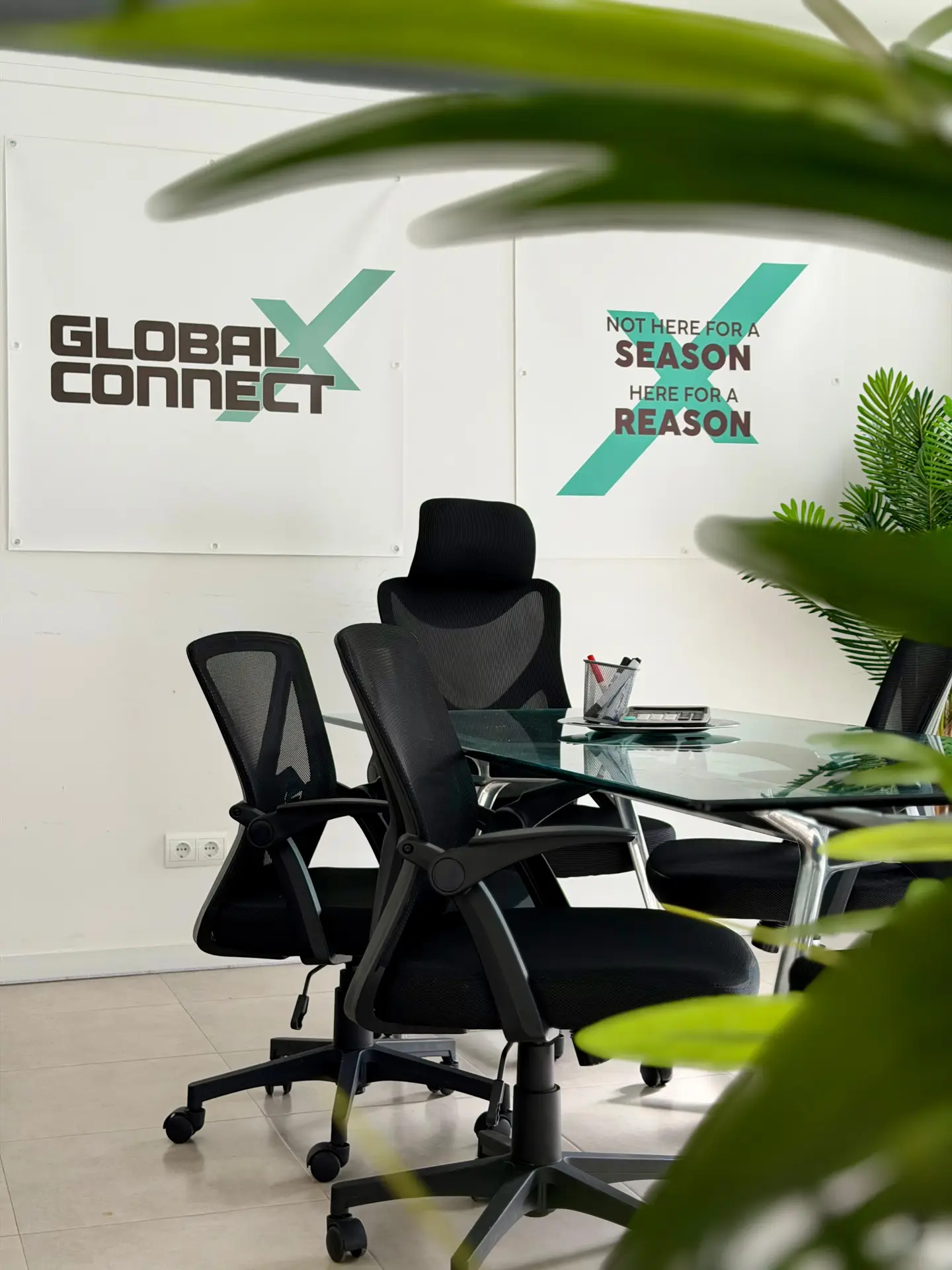 Inside the GXC Ibiza office — not here for a season, here for a reason