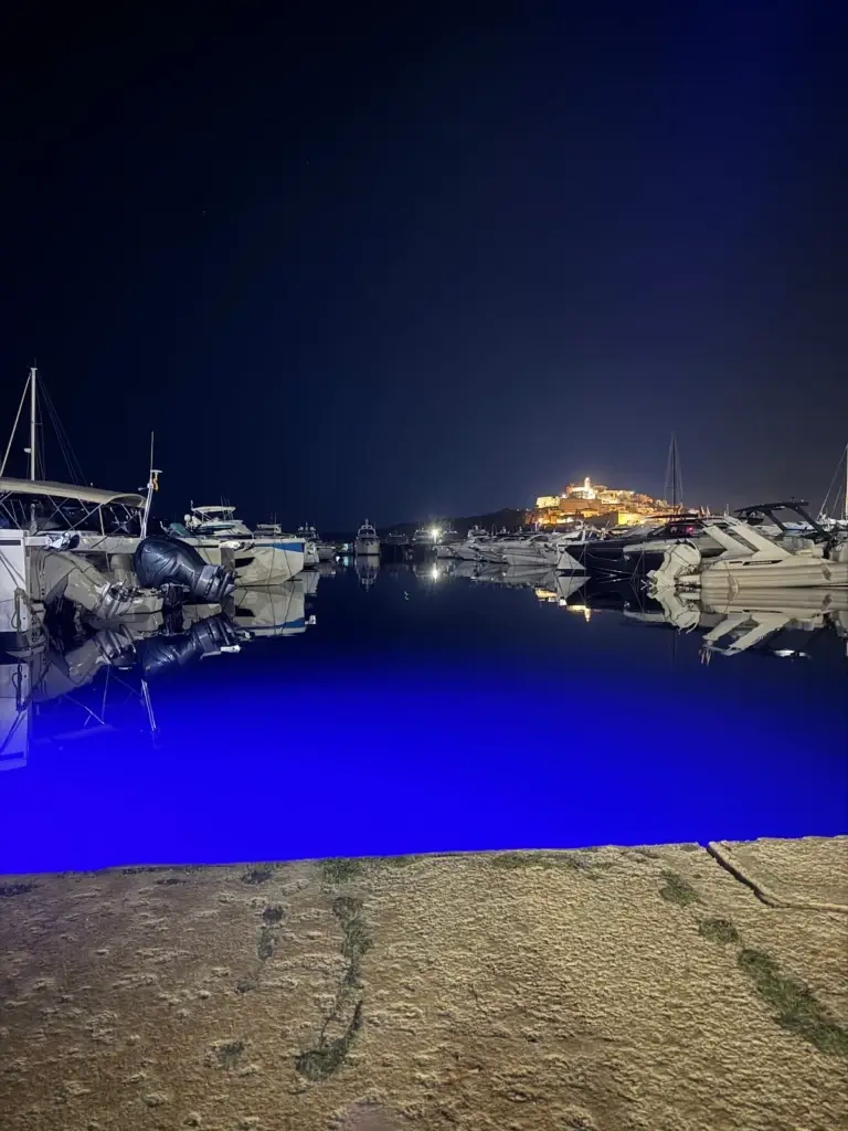 Antonia De Pascali — guest photo